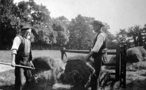 Haymaking